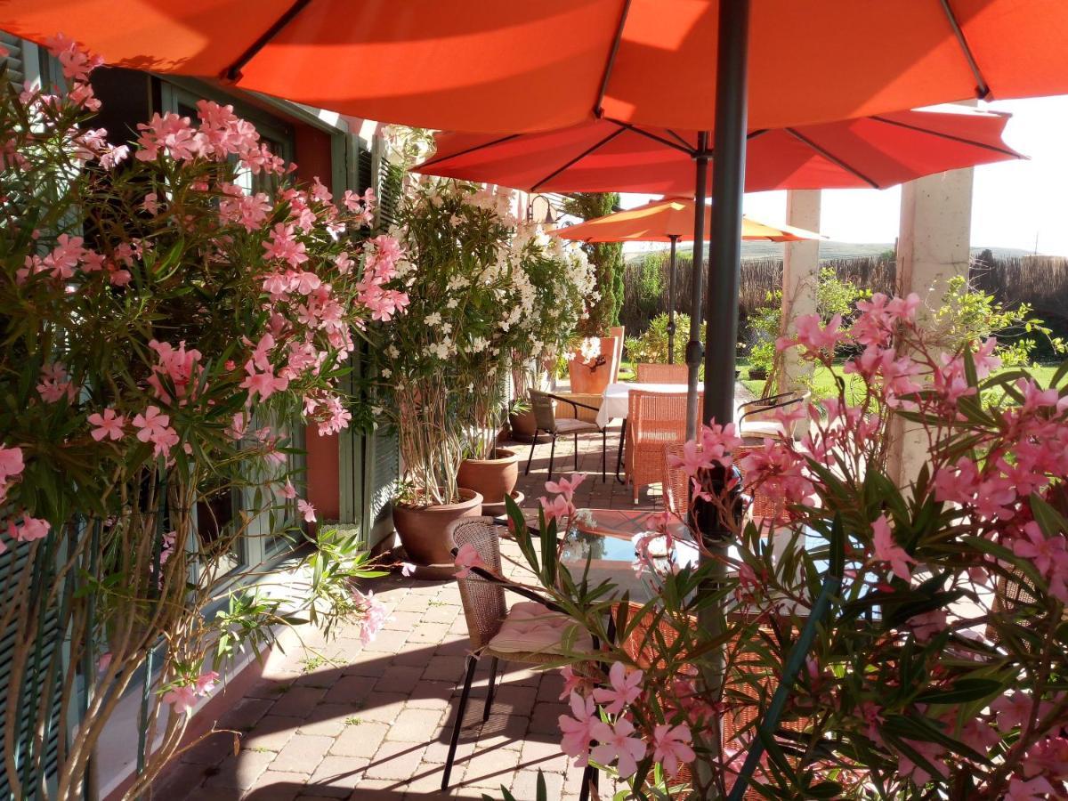 Hotel Santa Coloma Del Camino Olmillos de Sasamon Ngoại thất bức ảnh